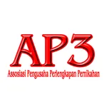 AP3 Wedding icon