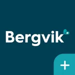 Bergvik Plus icon