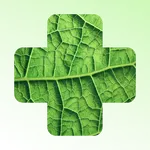 Plant disease identifier icon