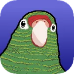 Vuela Pichón 2 icon