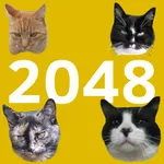 2048 Cats icon