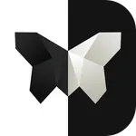 Symmetry: ASMR relaxing puzzle icon