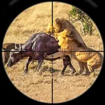 Animals Hunting Gun Games 3D icon