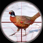 Pheasant birds hunting Games icon