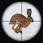 Rabbit Hunting Sniper Shooting icon