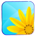 Gallery HD icon
