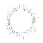 Medixcel TestPro360 icon