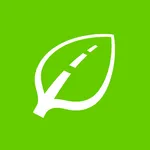 Подорожник icon