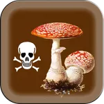 Poisonous Mushrooms icon