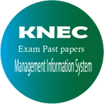 Management Information System icon