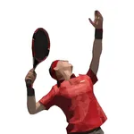Poly Tennis: Offline Clash icon