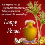 Pongal wishes status greetings icon