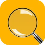 Magnifying Glass + Flashlight icon