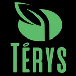 San Térys Cardápio icon