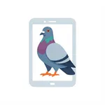 Pigeon Project icon