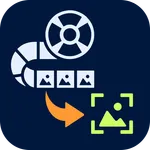 Photo From Video Grabbing Tool icon