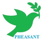 Pheasant ERP icon