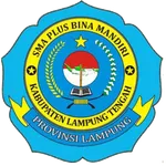 SMA PLUS BINA MANDIRI icon