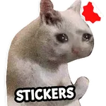 Cat Memes Stickers WASticker icon