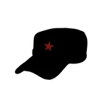 BoTeam icon
