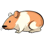 Where’s My Hamster - English 1 icon