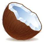Stock Kelapa icon