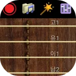 Gayageum - Traditional Musical icon