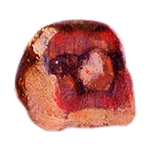 птица воробей icon