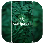 4K Wallpaper - Live Wallpapers icon