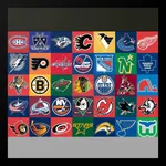 US Hockey HD Teams Wallpapers icon