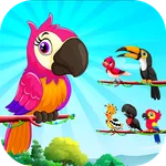 Bird Sort Color: Budgie Puzzle icon