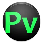 Point icon