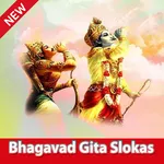 Bhagavad Gita Slokas icon