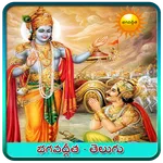 Bhagavad Gita Telugu icon