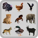 Animal Sounds icon