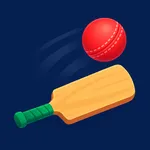 Quick Cricket Hit icon