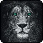 Quintessence Special icon