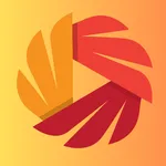 Fly Stream Player icon