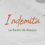 Radio Indómita Arauco icon