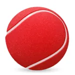 Roundy Rolly icon