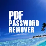 Bank Statement PDF Password Re icon