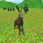 Rabbit animal life 3d game icon