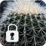 Cactus Suculent Screen Lock icon
