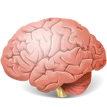 Recetas para el cerebro icon