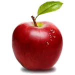 Apple Recipes icon