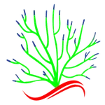 Reef Kudi icon