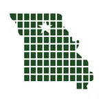 Regional Missouri Bank icon