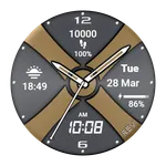 REV005 X Hybrid Watch Face icon
