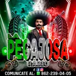 La Pegajosa Radio HD icon