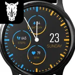 Rhinos Minimal WatchFace icon